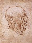 LEONARDO da Vinci Profile of an old man oil on canvas
